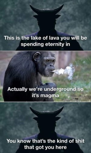 FB_IMG_1665431314722.jpg