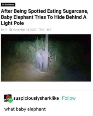 FB_IMG_1665432099184.jpg