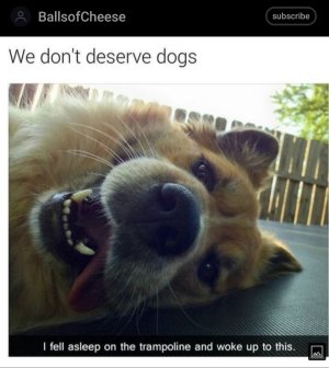 Screenshot_20221010-212333.jpg