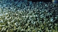 20221011_100752.gif