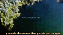 20221011_101120.gif