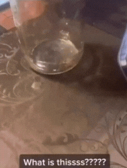 20221011_174018.gif
