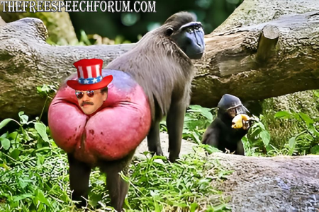 magicut_1660986093861.png