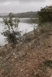 20221012_115849.gif