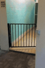 20221013_145545.gif