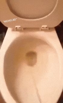 20221013_145342.gif
