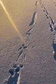 20221013_151119.gif