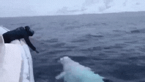 20221013_150814.gif