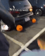 20221014_141124.gif