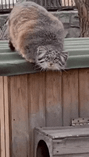 20221014_142625.gif