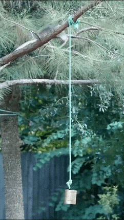 20221014_142314.gif