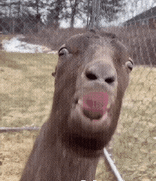 20221016_162544.gif