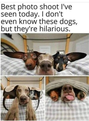 FB_IMG_1665936034517.jpg
