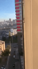 20221018_161914.gif