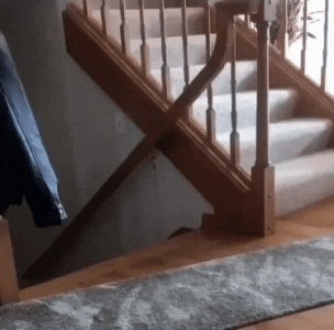 20221018_162549.gif