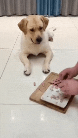 20221020_142434.gif