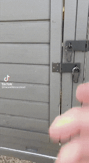 20221023_221343.gif