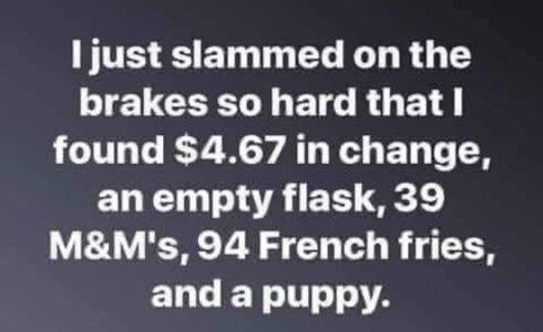 FB_IMG_1666555591858.jpg