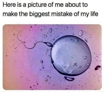 FB_IMG_1667077485636.jpg