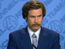 1667578774091.gif