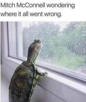1668790642927.png