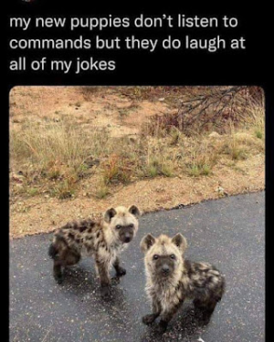1668829025918.png
