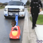 1618684979385.gif