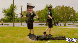 1618685100816.gif