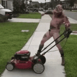 1618713301593.gif