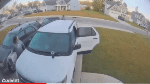 Resized_ResizedP_20210417_113952.gif