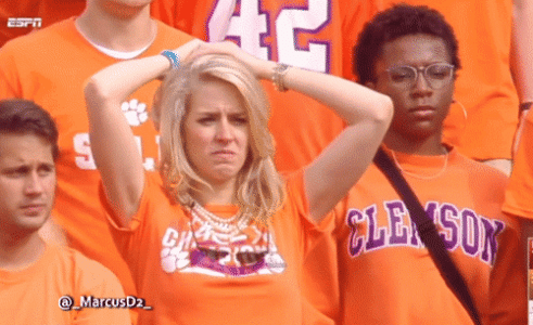 1668947394408.gif