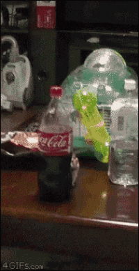 1668947515443.gif