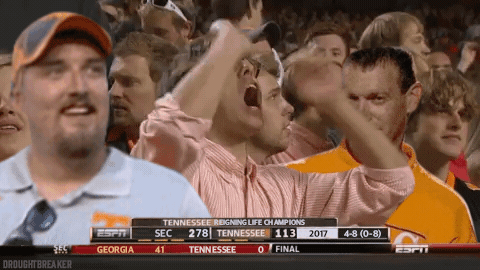 1668962184002.gif