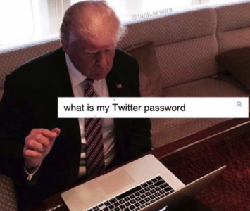 1668992530572.png