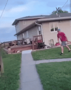 a horse kick.gif