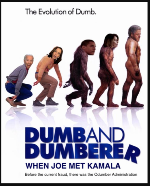 1669234532817.png