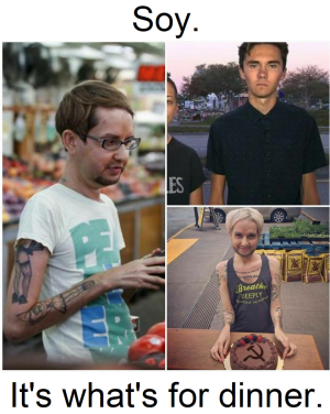 1669294545204.png