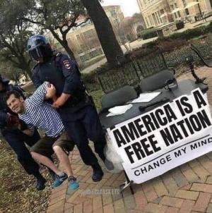 1669394192300.png