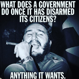1669491521921.png