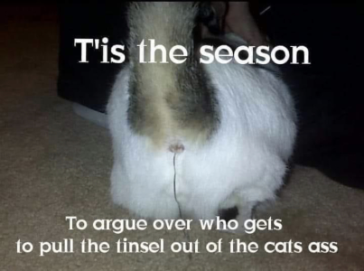 1669731529993.png