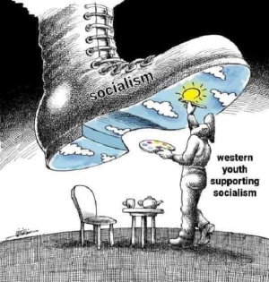 1670025277376.png