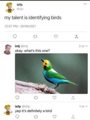 kQfrvVu.jpeg