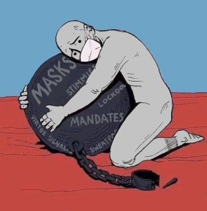 1670166675175.png