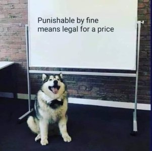 01A04363-E03A-4F85-BBF1-D0AD88599272.jpeg
