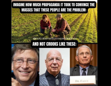 1670810960316.png