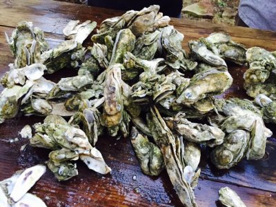 oysters4.jpg