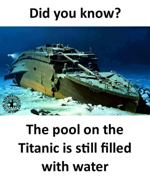 magicut_1673835029155.png