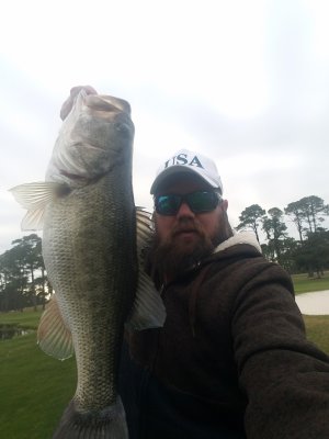 PB Bass.jpeg