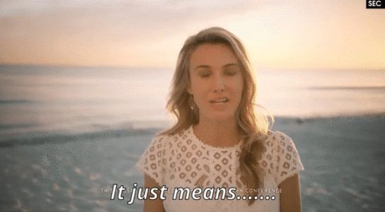 SEC-It-Just-Means-More (1).gif