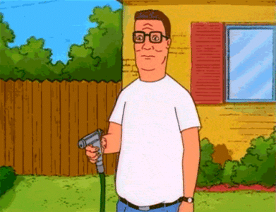 giphy (10).gif